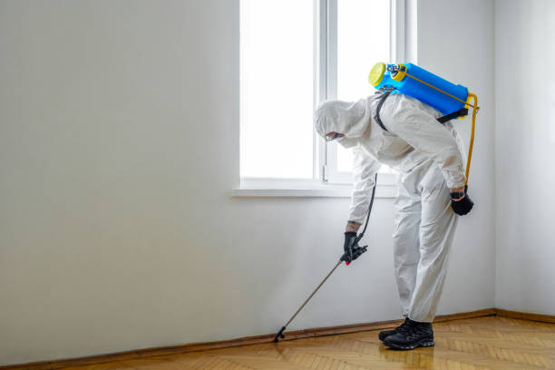 Best Affordable Pest Control Services  in Washington, KS