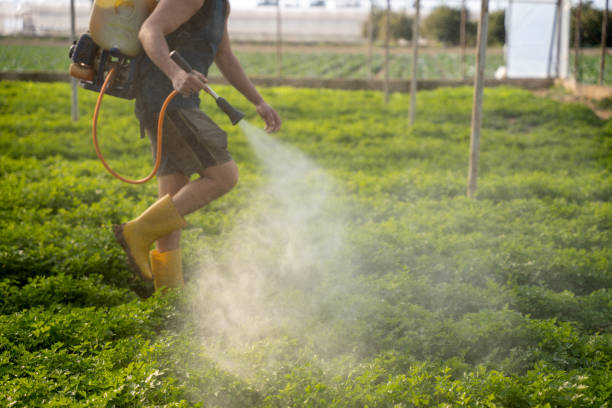 Best Pest Control Near Me  in Washington, KS