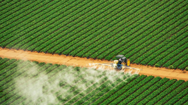Best Best Pest Control Companies  in Washington, KS
