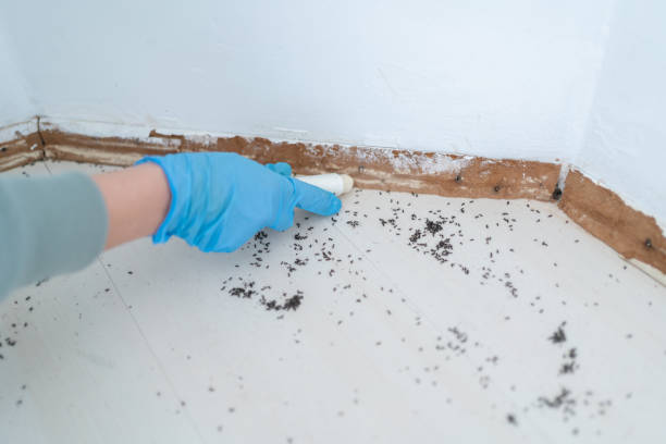 Best Best Pest Control Near Me  in Washington, KS